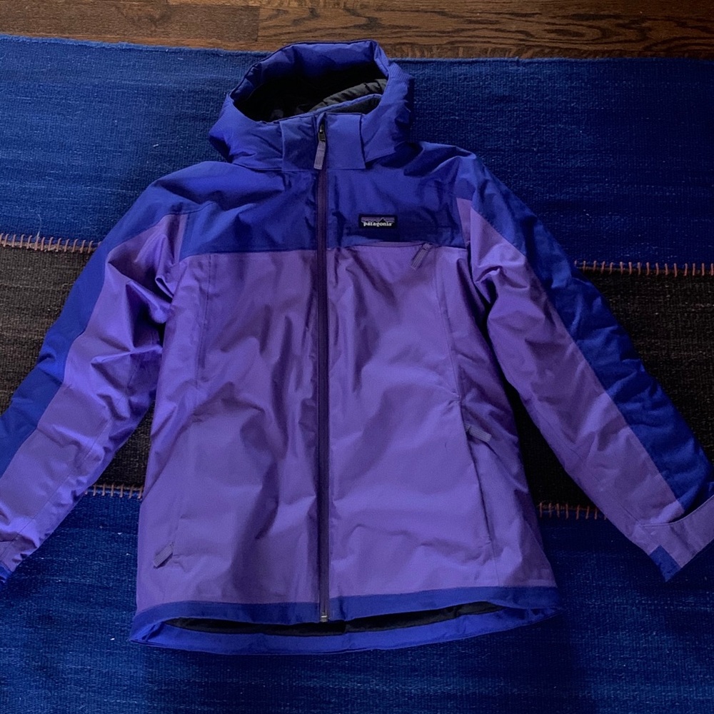 Patagonia Blue and Purple Ski Coat